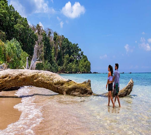 ISLAND FAMILY TOUR PACKAGE
